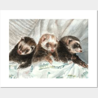 Ferrets Posters and Art